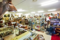 Lovedale Antiques inside 6 Feb 2017